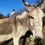 La Ferme Rolland * Rochebrune (Drome)